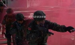 西藏警察爆料视频最新消息,揭秘事件真相与背后故事