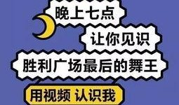 宝贝娱乐爆料文案,揭秘明星幕后故事